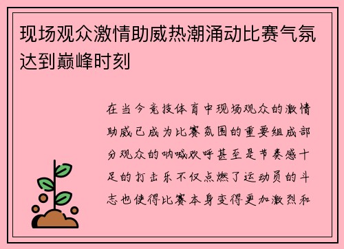 现场观众激情助威热潮涌动比赛气氛达到巅峰时刻